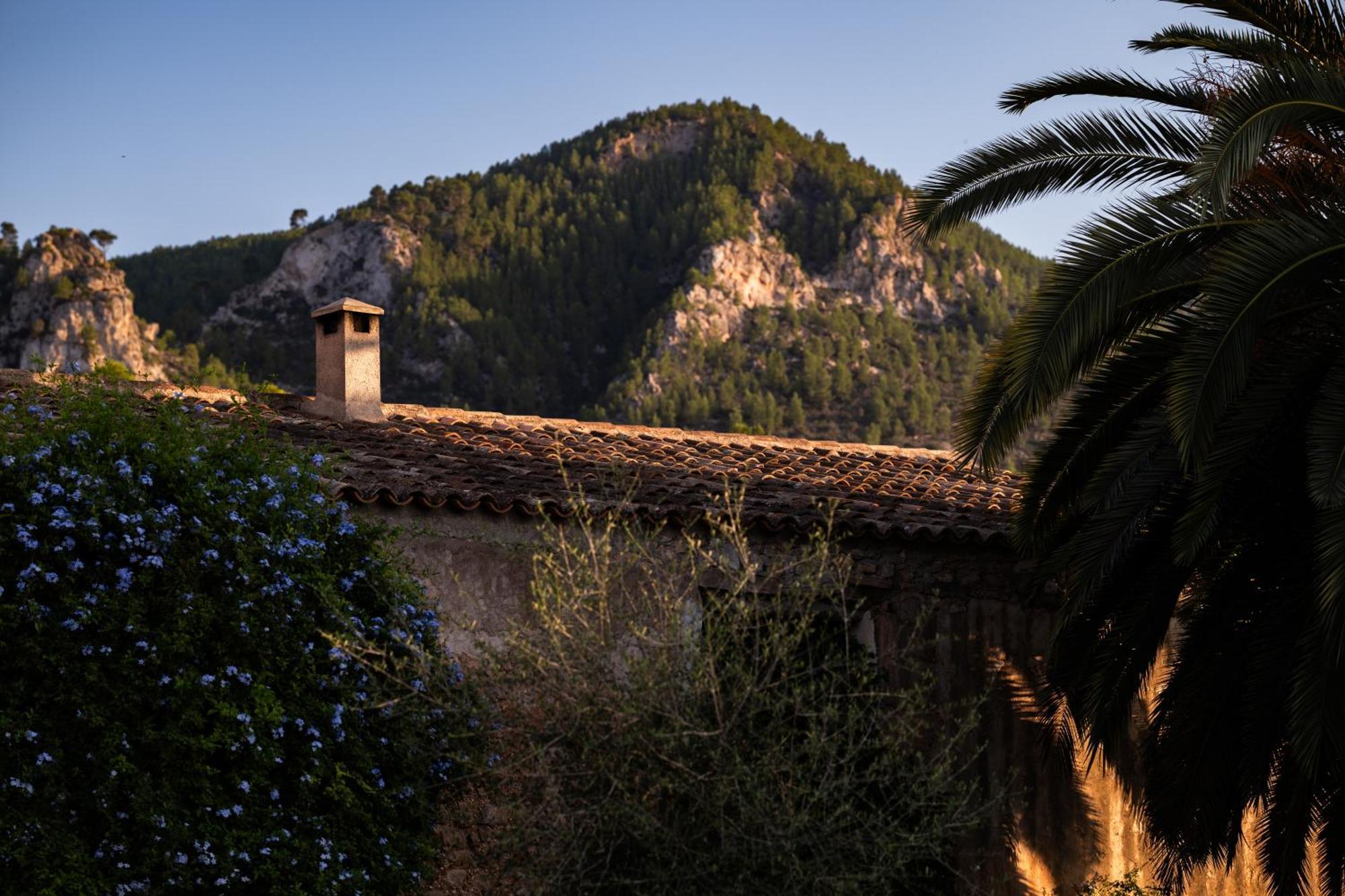 Agroturismo Son Boronat Calvia  ภายนอก รูปภาพ