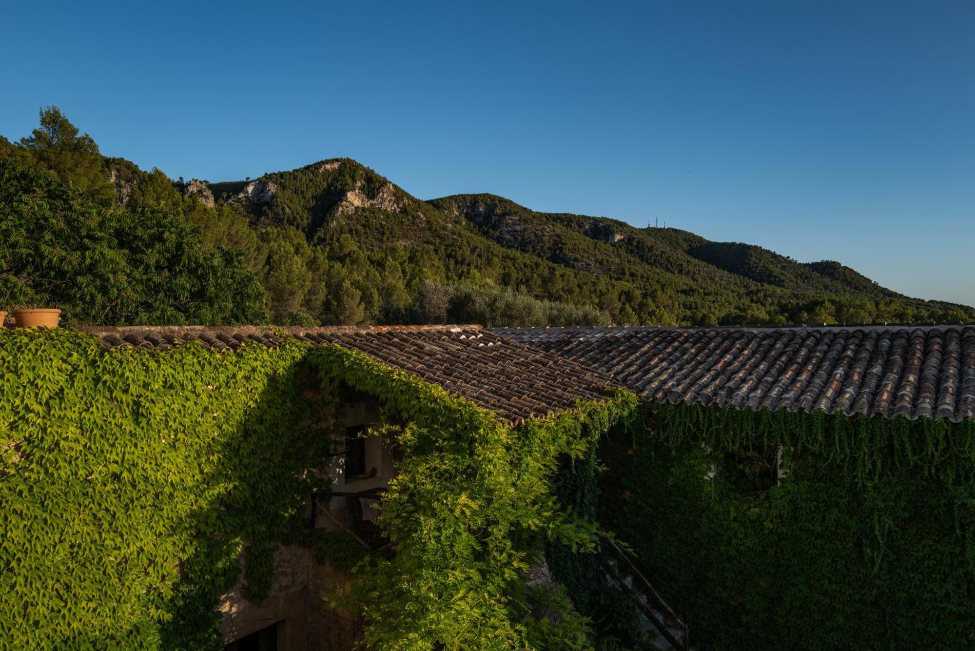 Agroturismo Son Boronat Calvia  ภายนอก รูปภาพ